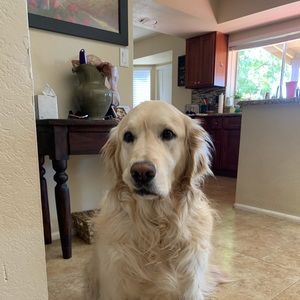 Meet your Posher, Katy